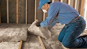 Best Basement Insulation  in Doney Park, AZ